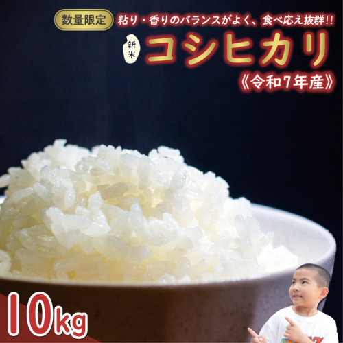 先行予約 新米 令和7年産 コシヒカリ 10kg 25000円 お米 白米 精米 米 こめ 産地直送 国産 農家直送 期間限定 数量限定 特産品 先行 事前 受付 令和7年度産 2025年産 もっちり 粘り 甘み おいしい おにぎり こしひかり 内祝い お祝い 贈答品 お返し プレゼント ギフト 土産 御礼 お礼 お取り寄せ えひめ南農業協同組合 愛南町 愛媛県 2215629 - 愛媛県愛南町