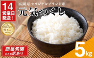 [訳あり・簡易包装][数量限定]元気つくし 精白米 (5kg)お米 米 精白米 訳あり 国産 福岡県産 ブランド米 5kg 数量限定 常温[北海道・沖縄・離島配送不可][ksg1780]