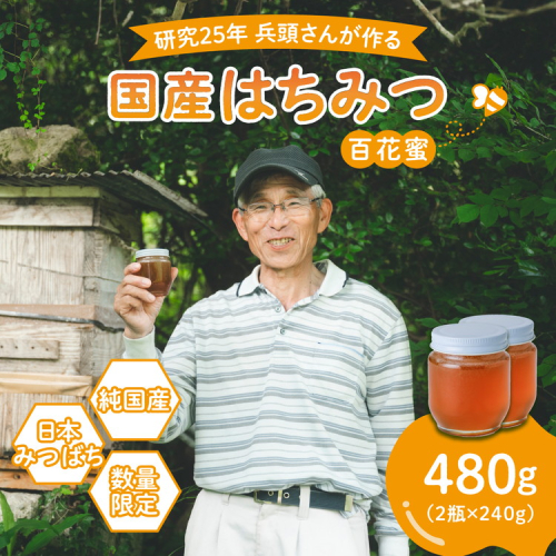 【先行予約】兵頭さん家の国産はちみつ 2瓶（計480g 計360cc） | 国産 百花蜜 蜂蜜 ハチミツ 深山ミツバチ 研究25年 日本ミツバチ ※2025年9月下旬頃より順次発送予定 ※離島への配送不可 2215879 - 愛媛県鬼北町
