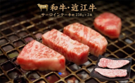 【10月発送】近江牛サーロイン ステーキ 250g×2枚