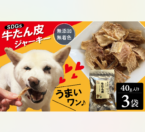 愛犬のおやつ 牛たん皮 40ｇ×3個入り 無添加 無着色 安心 国内生産 愛犬 おやつ ワンちゃん わんこ 喜ぶ ジャーキー SDGｓ H160-010 2215975 - 愛知県碧南市