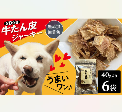 愛犬のおやつ 牛たん皮 40ｇ×6個入り 無添加 無着色 安心 国内生産 愛犬 おやつ ワンちゃん わんこ 喜ぶ ジャーキー SDGｓ H160-011 2215976 - 愛知県碧南市