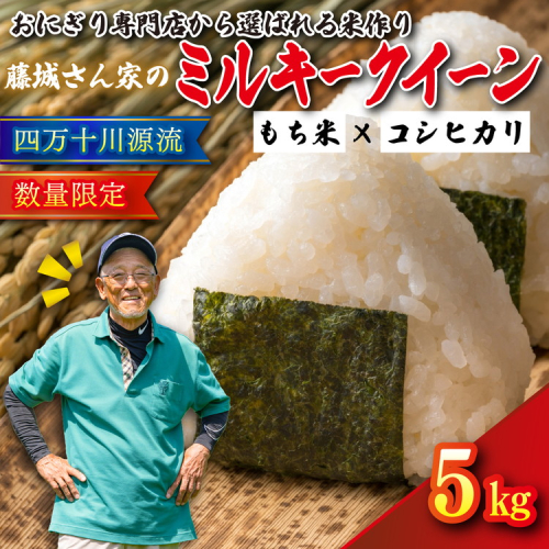 【おにぎり専門店御用達！】藤城さん家のミルキークイーン5kg【令和7年産】 ｜ ご飯 白米 お米 5kg 令和7年 定期便 令和7年産 精米済み 愛媛県鬼北町　※2025年9月下旬頃より順次発送予定 2215977 - 愛媛県鬼北町