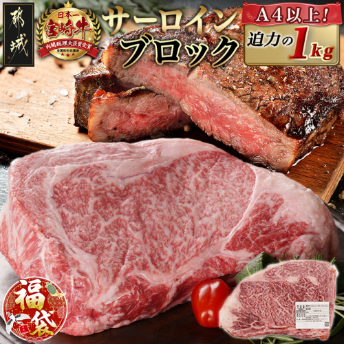 【福袋★2026】宮崎牛サーロインブロック(1kg)_38-N401-F2026 2216308 - 宮崎県都城市