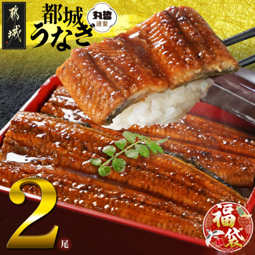 【福袋★2026】宮崎県育ちのうなぎ蒲焼2尾300g以上≪山椒・たれ付≫_13-M301-F2026 2216390 - 宮崎県都城市