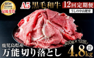 【定期便全12回】＜A4・A5等級＞黒毛和牛万能切り落とし肉 計4.8kg(400g×1P・全12回) 黒毛和牛 和牛 切り落とし 肉 牛肉 国産 九州産 鹿児島県産 すき焼き しゃぶしゃぶ 牛丼 小分け A5 日本一 ランキング 人気 定期便 t0144-001