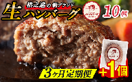【定期便3回】格之進 肉おじさん 生 ハンバーグ 10個×3回 +1個 (合計31個) あはハンバーグ 牛肉 豚肉 小分け 人気 惣菜 簡単調理 おかず お弁当 冷凍