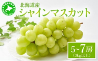シャインマスカット ５～7房（３kg以上）箱