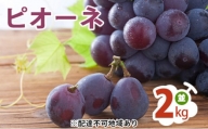 [№5757-0056]ピオーネ 2kg  （並） ぶどう 葡萄 フルーツ 果物 岡山県 岡山県産 2024年 先行予約