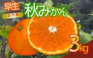 訳あり 早生 秋 みかん 約3kg 蜜柑 早生 フルーツ 果物 国産 くだもの 産地直送 人気 お取り寄せ グルメ わけあり 常温 静岡県産みかん 静岡みかん オーガニック 西浦 沼津 静岡 自然農 ふるさと 納税 沼津みかん 美味しい 秋 西浦みかん 混合 静岡県産