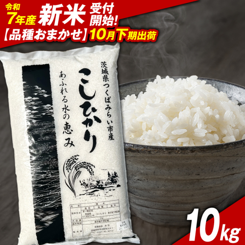 ＼ 新米先行予約 ／【10月下期出荷】品種おまかせ 10kg 茨城県つくばみらい市産 精米 こしひかり コシヒカリ あきたこまち ひとめぼれ ふくまる ゆめひたち ミルキークイーン にじのきらめき 米 コメ こめ 単一米 限定 茨城県産 国産 美味しい お米 おこめ おコメ [CL148-NT] 2216918 - 茨城県つくばみらい市