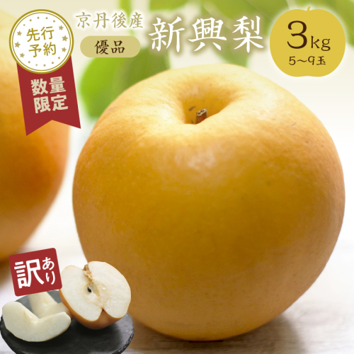 【先行予約／数量限定】【訳あり】新興梨 優品 3kg（5～9玉入り）（2025年10月上旬～発送） 2217460 - 京都府京丹後市