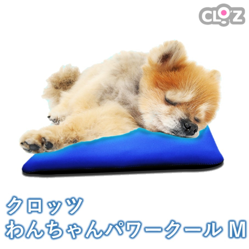 クロッツ わんちゃんパワークールM_2607R 2217473 - 大分県国東市