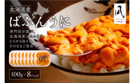 【先行予約】《北海道産》バフンウニ 塩水 100g×8パック＜札幌カネシン水産＞