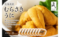 【先行予約】《北海道産》ムラサキウニ 塩水 100g ×8パック＜札幌カネシン水産＞