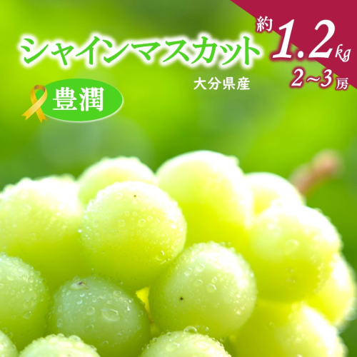 【先行予約】おおいたの豊潤シャインマスカット約1.2kg_2609Ｒ 2217620 - 大分県国東市
