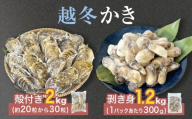 越冬かき剥き身 越冬殻付かき セット 加熱用 牡蠣 かき カキ 剥き身 むき身 殻付き 殻つき 貝 海鮮 魚介 魚介類 宮城県産 新鮮 急速冷凍 濃厚 宮城県 石巻市