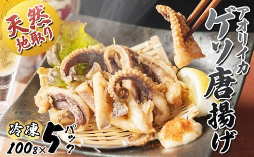 【10月以降発送】 天然地取りアオリイカ ゲソ唐揚げ 100g×5P ： イカ アオリイカ ゲソ いか 天然イカ 天然 海鮮 海産 魚介 シーフード 冷凍 簡単 グルメ お取り寄せ 京都 舞鶴 凡愚|【bongu33】 2217913 - 京都府舞鶴市
