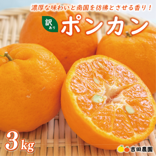 お試し用 訳あり ポンカン 3kg 7000円 みかん mikan 蜜柑 ミカン わけあり ぽんかん 産地直送 国産 農家直送 糖度 期間限定 数量限定 特産品 ゼリー ジュース アイス 冷凍 みかん 等に 人気 限定 甘い フルーツ 果物 柑橘 ビタミン 健康 美味しい おいしい ジューシー 小玉 含む 規格外 サイズ ミックス お試し 試供品 お試し品 少量 吉田農園 愛南町 愛媛県 2217996 - 愛媛県愛南町