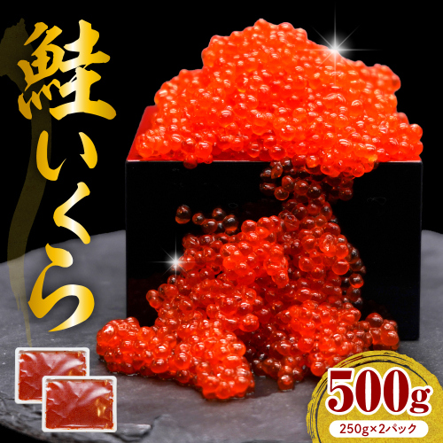 えりも【マルデン特製】鮭いくら醤油漬け250g×2箱【er002-098】 2217997 - 北海道えりも町