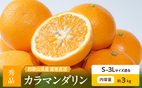 ZE6500_【2026年先行予約】和歌山県産 カラマンダリン 3kg 秀品 2218076 - 和歌山県湯浅町