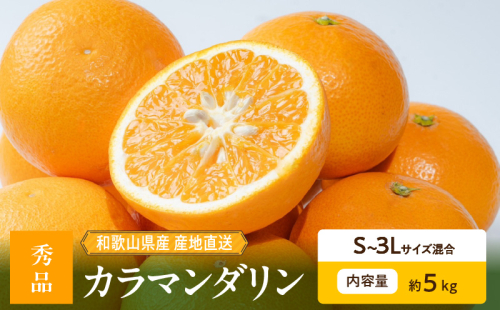 ZE6501_【2026年先行予約】和歌山県産　カラマンダリン　5kg　秀品 2218077 - 和歌山県湯浅町