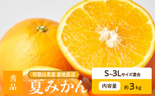 ZE6504_【2026年先行予約】和歌山県産　夏みかん　3kg　秀品 2218080 - 和歌山県湯浅町