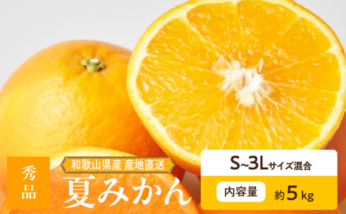ZE6505_【2026年先行予約】和歌山県産　夏みかん　5kg　秀品 2218081 - 和歌山県湯浅町