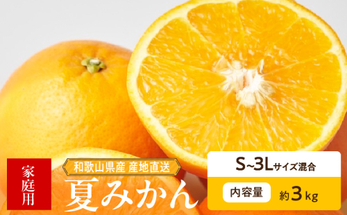 ZE6506_【2026年先行予約】和歌山県産　夏みかん　3kg　家庭用 2218084 - 和歌山県湯浅町