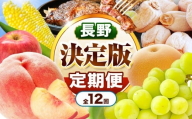 飯田市 定期便【決定版】| フルーツ 果物 お菓子 スイーツ 肉 焼肉 干し柿 市田柿 野菜 とうもろこし 桃 梨 りんご シャインマスカット 信州 詰め合わせ セット 定期 長野県 飯田市