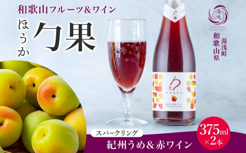 KG1007_ワインカクテル スパークリング 勹果 ほうか 紀州うめ＆赤ワイン 375ml 2本 湯浅ワイナリー 2218405 - 和歌山県湯浅町