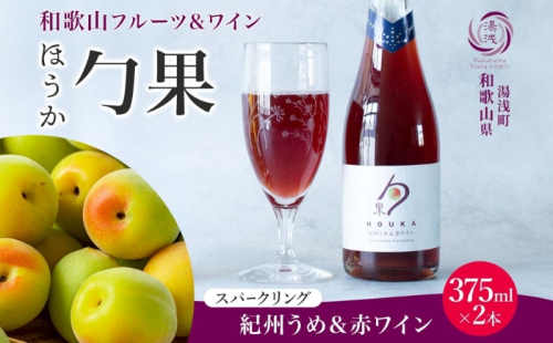 KG1007_ワインカクテル スパークリング 勹果 ほうか 紀州うめ＆赤ワイン 375ml 2本 湯浅ワイナリー 2218405 - 和歌山県湯浅町