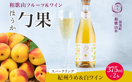 KG1008_ワインカクテル スパークリング 勹果 ほうか 紀州うめ＆白ワイン 375ml 2本 湯浅ワイナリー 2218406 - 和歌山県湯浅町