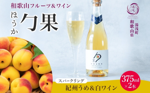 KG1008_ワインカクテル スパークリング 勹果 ほうか 紀州うめ＆白ワイン 375ml 2本 湯浅ワイナリー 2218406 - 和歌山県湯浅町