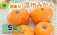 【2025年11月順次発送】 訳あり みかん 温州みかん5kg（5kg+傷み保証250g） ミカン 蜜柑 甘い フルーツ 柑橘 ジュース 小松島市 オススメ 人気 ふるさと納税 5kg 10kg