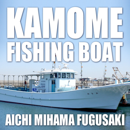 かもめ釣船 乗船チケット （3,000円分） | 釣り船 キャスティング サビキ ルアー 泳がせ 初心者歓迎 釣船 フィッシング 船釣り 体験 レジャー 船 船 魚 釣り さかな チケット 観光 旅行 ふね 釣舟 ふるさと納税魚 ふるさと納税フィッシング ふるさと納税体験 ふるさと納税釣り クーポン 乗船券 ふるさと納税利用券 愛知県 美浜町 人気 おすすめ 2218420 - 愛知県美浜町