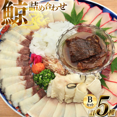 AJ155 美味しい 鯨 5種詰め合わせBセット 計520g( 大和煮 オバ ベーコンスライス 湯かけくじら さえずりスライス )[ くじら クジラ 鯨肉 湯引き 簡単調理 おつまみ 肴 珍味 日野商店 長崎県 島原市 ] 2218513 - 長崎県島原市