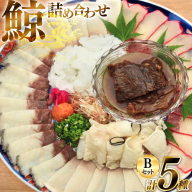 AJ155 美味しい 鯨 5種詰め合わせBセット 計520g( 大和煮 オバ ベーコンスライス 湯かけくじら さえずりスライス )[ くじら クジラ 鯨肉 湯引き 簡単調理 おつまみ 肴 珍味 日野商店 長崎県 島原市 ]