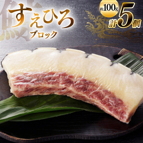 AJ144 すえひろ ブロック 100g×5個セット 計500g [ くじら クジラ 鯨肉 湯引き 簡単調理 おつまみ 肴 珍味 小分け 日野商店 長崎県 島原市 ] 2218528 - 長崎県島原市