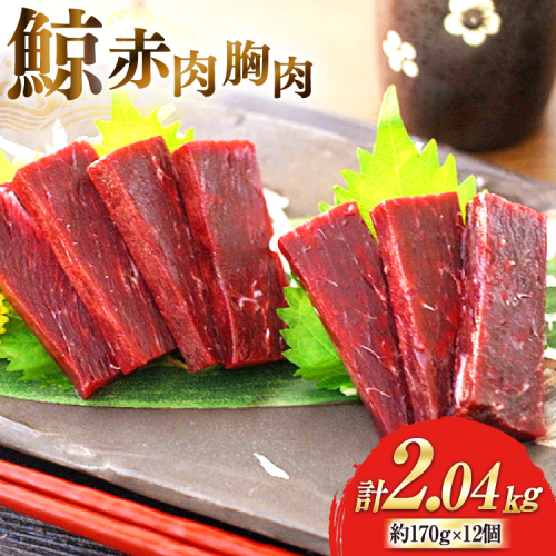 AJ138 赤肉胸肉 170g×12個セット 計2.04kg [ くじら クジラ 鯨 鯨肉 湯引き 簡単調理 おつまみ 肴 珍味 小分け 日野商店 長崎県 島原市 ] 2218537 - 長崎県島原市