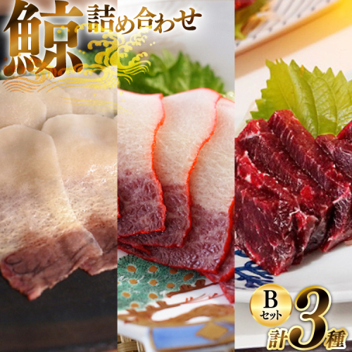AJ150 美味しい 鯨 3種詰め合わせBセット 計310g( 背肉 ベーコンスライス すえひろスライス ) [ くじら クジラ 鯨肉 湯引き 簡単調理 おつまみ 肴 珍味 日野商店 長崎県 島原市 ] 2218542 - 長崎県島原市