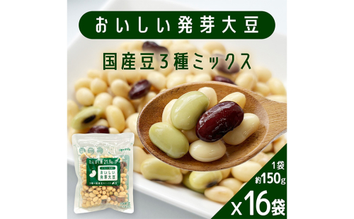 おいしい発芽大豆 約2.4kg （約150g×16袋） 発芽大豆 大豆 豆 国産豆 野菜 3種類ミックス レトルト 冷蔵 2218547 - 熊本県益城町