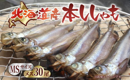 北海道産 阿部水産 ししゃも メス MS 30尾セット 本ししゃも 雌 メス たまご 卵 北海道土産 季節限定 ほくほく 子魚 無添加 クール便 冷凍 送料無料 北海道 日高町 2219058 - 北海道日高町