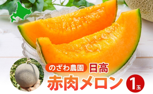 のざわ農園 日高 赤肉メロン 1玉 めろん メロン 赤い 甘い 夏 フルーツ 果実 ルピアレッド  糖度 甘み 濃厚 肥料 贈り物 お中元 お歳暮 常温 冷蔵庫 家族 デザート のざわ農園 北海道 日高町 2219059 - 北海道日高町