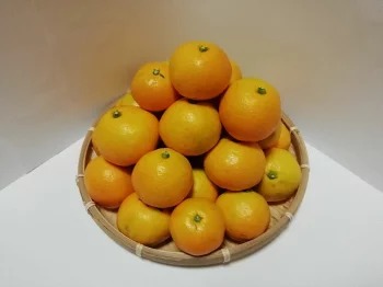 和歌山のみかん　（日高郡産） ※2025年10月下旬～12月下旬頃に順次発送予定 ※北海道・沖縄・離島への配送不可 2219253 - 和歌山県美浜町