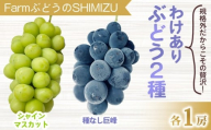 [清水農園]わけあり2種のぶどうセット(シャインマスカット、種無し巨峰)各1房 、合計2房(900g以上) ※2025年9月中旬以降順次発送予定