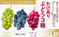[清水農園]わけあり3種のぶどうミックスセット(クイーンニーナ、シャインマスカット、種無し巨峰)各1房、合計3房(1.3kg以上) ※2025年9月中旬以降順次発送予定