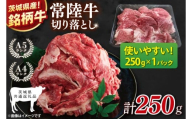 【茨城県共通返礼品】お試しサイズ！常陸牛切り落とし 250g【黒毛和牛 国産 銘柄牛 牛肉 肉 冷凍 茨城県産】(81-22)