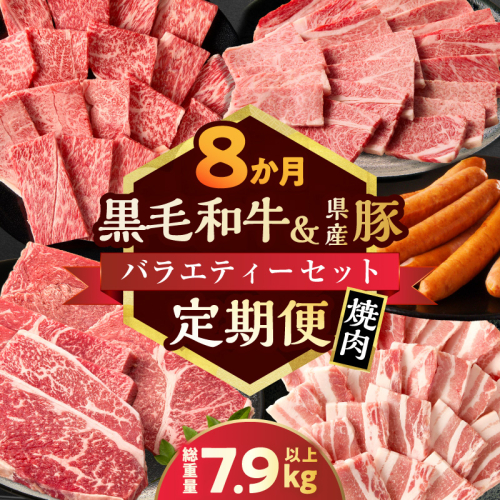 ≪8か月定期便≫黒毛和牛＆県産豚バラエティーセット(焼肉)総重量7.9kg以上 肉 牛 牛肉 国産_T030-180 2219357 - 宮崎県都農町