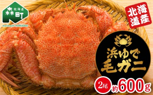 【北海道産】 浜ゆで毛ガニ 約600g (2尾入り) mr1-1059 2219440 - 北海道森町